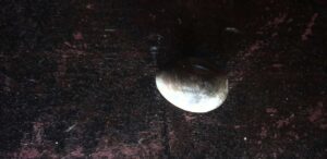 yoni egg cleansing